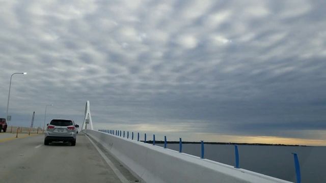 Поиски американских холостяков продолжаются!/Рыбалка на акул смотреть онлайн