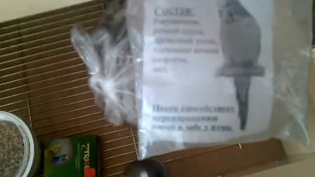 КУПИЛИ ПОПУГАЯ КАРЕЛЛУ ОЧЕНЬ РАДА смотреть онлайн