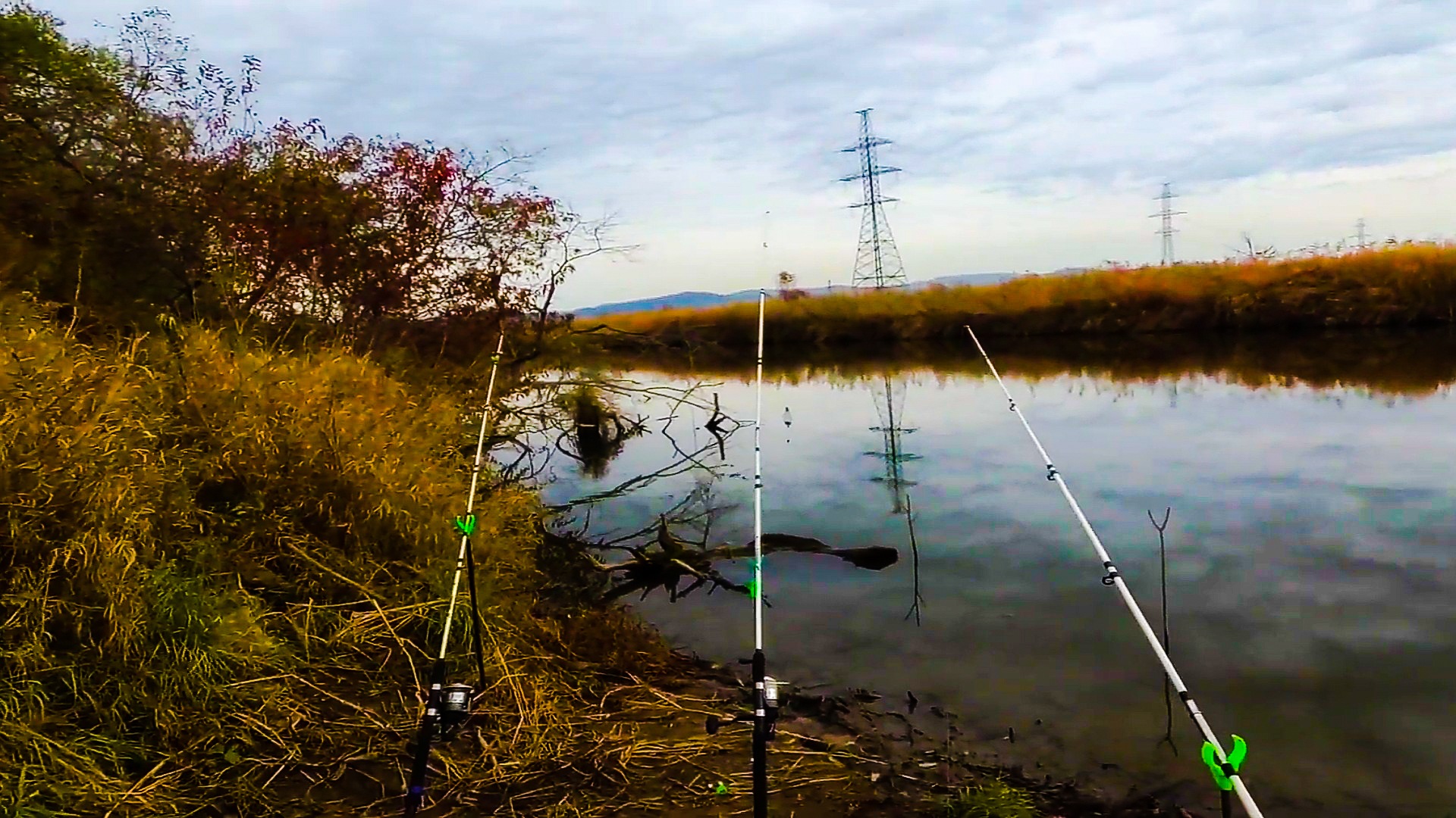 ДОНКИ КРОКОДИЛ. РЫБАЛКА НА ДОНКУ С БЕРЕГА НА КАРАСЯ смотреть онлайн