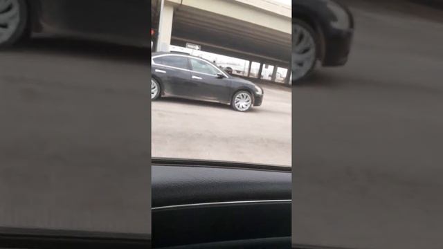 genesis 5.0 vs nissan maxima смотреть онлайн