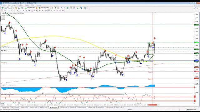 .Обзор сделки по NZD/USD по молоку на 30 мин. смотреть онлайн