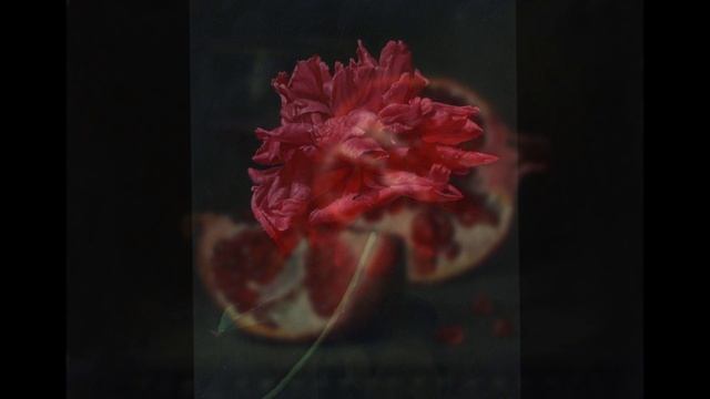 "ЧУДО РОЗЫ"... ( Голландский супер-реализм Алексея Антонова, музыка - Луиджи Боккерини)