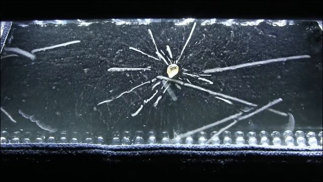 Thermoelectric Cloud Chamber [1080p]