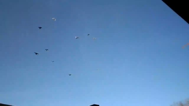 Порывы ветра, до 16-м\с 14.04.2020г. смотреть онлайн