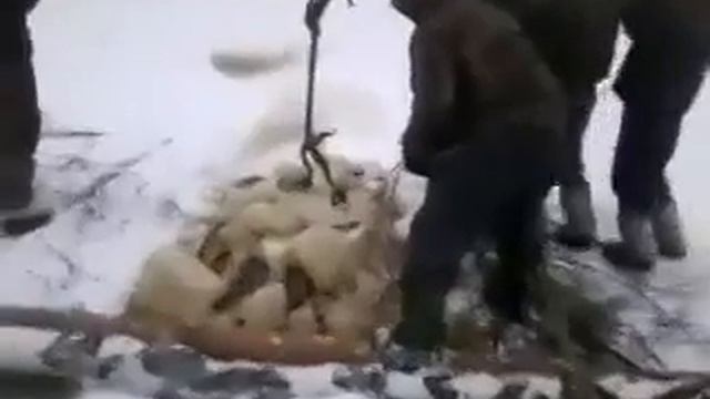 Жесткач смотреть онлайн