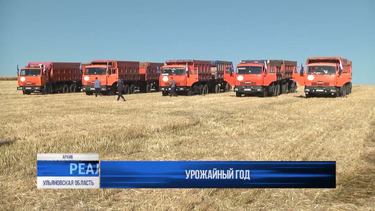 Хлебный год Ульяновская область готова делиться урожаем с соседями смотреть онлайн
