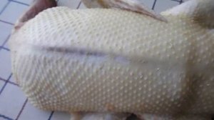 Забой утки в 90 дней.  Ощип. Обжиг. Вес утки башкирской породы.