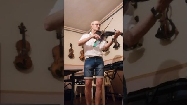 "Luci della ribalta" di C. Chaplin (adattamento per violino di Enrico Salvetti) смотреть онлайн