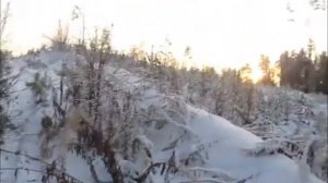 Вместо камуса щетина из лески на охотничьи лыжи