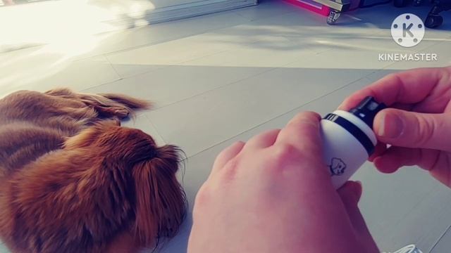 Электрический когтерез (гриндер) для животных SMEHNSER смотреть онлайн