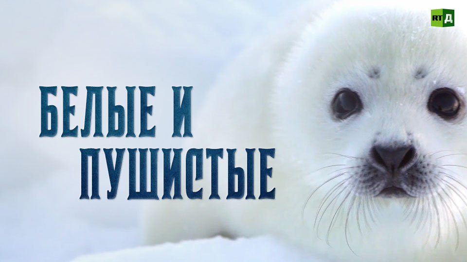 Белые и пушистые смотреть онлайн