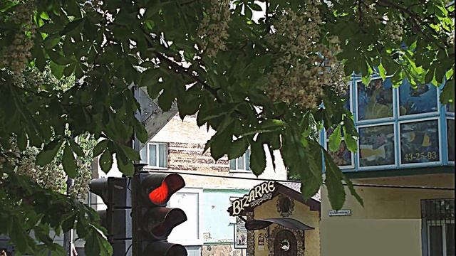 Цветущие каштаны.Ровно 2013 год смотреть онлайн