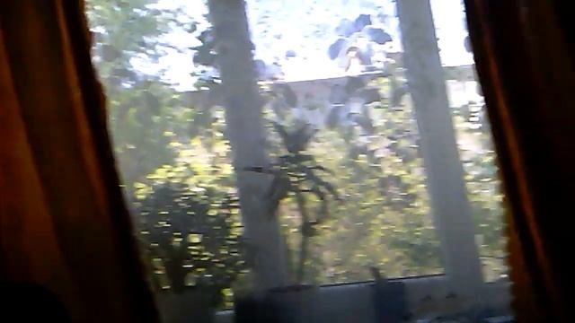 Вызов Духов балди и Foxy