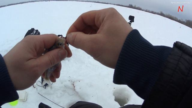 На что клюёт на то и ловим!Разбурили старые лунки. смотреть онлайн