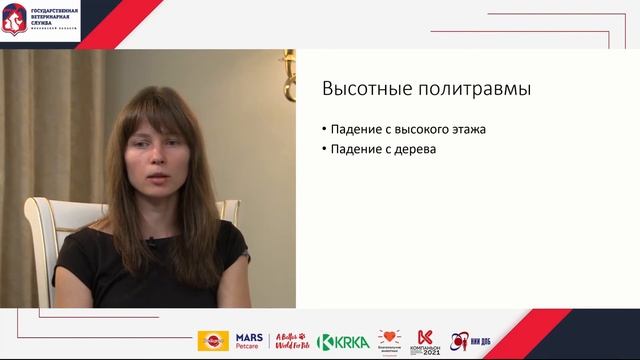 5. Шоковые состояния при различных травмах животных. Лечебная помощь животным. Часть 2. смотреть онлайн