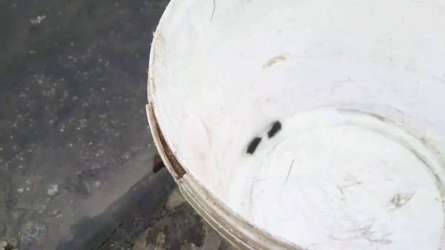 Ловля ручейника смотреть онлайн