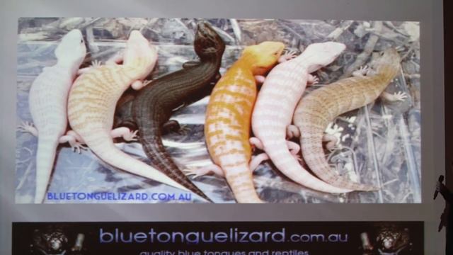 Joe Ball - Australian Herpetological Society 70th Birthday Celebration смотреть онлайн