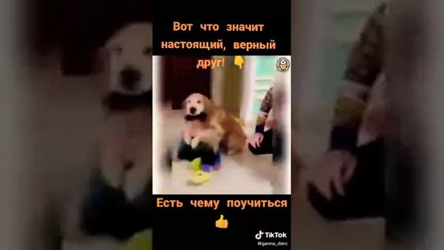 Вот что значит друг! смотреть онлайн