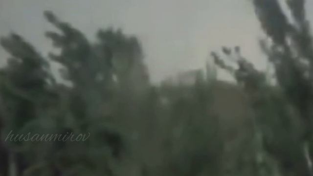 Osmondagi bolalar 2002