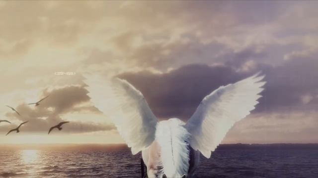 I AM || NIKON - PHOTOSHOP BEAUTY HD смотреть онлайн