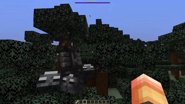 Как перевернуть визера