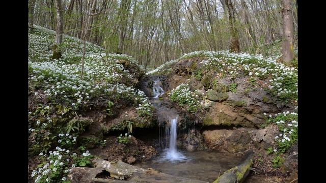 ВАЖНО! Самый мощный обряд от чёрной полосы | Лучшие обряды смотреть онлайн
