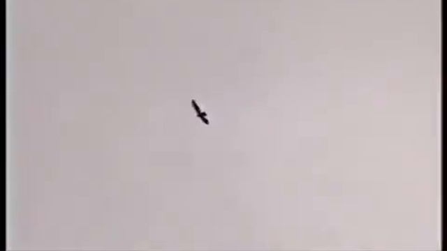 Зульфия авторский проект " Узнать больше " часть 3 смотреть онлайн