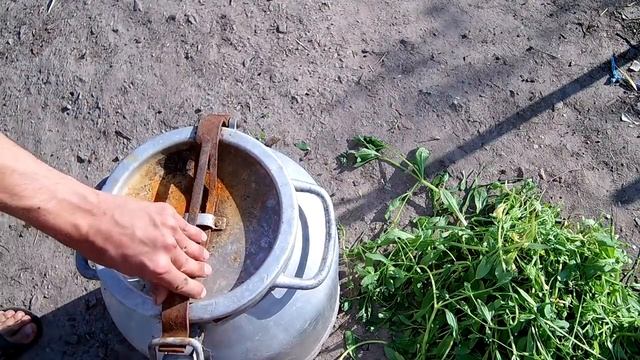 САМОЕ ЛУЧШЕЕ ОРГАНИЧЕСКОЕ УДОБРЕНИЕ. КАК СДЕЛАТЬ УДОБРЕНИЯ В ДОМАШНИХ УСЛОВИЯХ смотреть онлайн