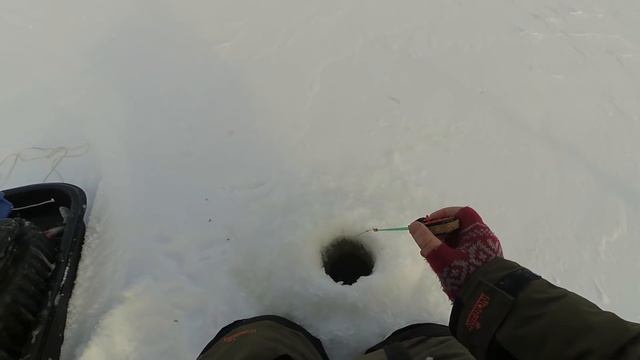 Настоящая "зимняя" рыбалка! Лед 2019-20, окунь на мормышку и щука на жерлицы смотреть онлайн