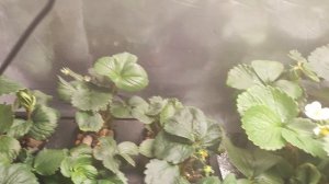 Первые выводы