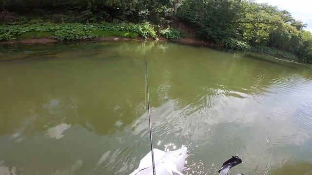 СПЛАВ ПО РЕКЕ СОК/РЫБАЛКА НА СПИННИНГ/ЛОВЛЯ ГОЛАВЛЯ НА СПИННИНГ/СПЛАВ ПО ДИКИМ - БЕЗЛЮДНЫМ МЕСТАМ смотреть онлайн