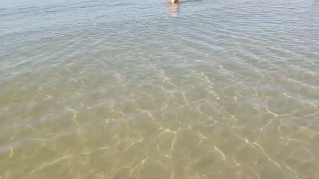 ЖЕЛЕЗНЫЙ ПОРТ 2021 СЕГОДНЯ/УТРО/ЧЁРНОЕ МОРЕ смотреть онлайн