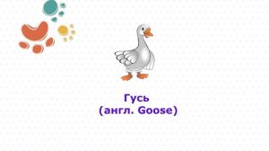 Птицы для детей за 5 мин. Звуки сельскохозяйственных птиц: уток, кур, цыплят, гусей и т.д.
