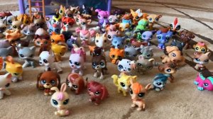 LPS / ПОБЕГ или Вся Моя Коллекция lps / Littlest pet shop