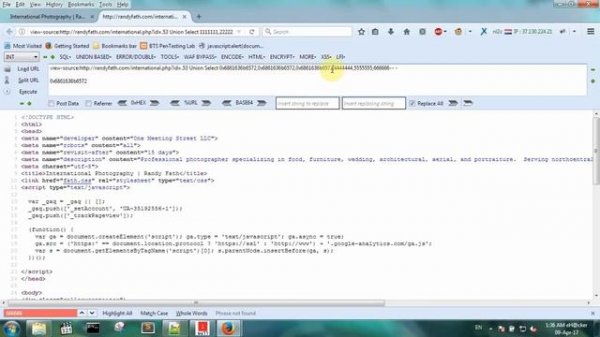 SQL Injection Challenge Solution