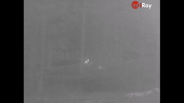 САМЫЙ МАЛЕНЬКИЙ ТЕПЛОВИЗОР InfiRay T2 Pro ДЛЯ ОХОТЫ