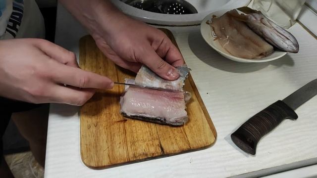 Интересные Факты о Животных