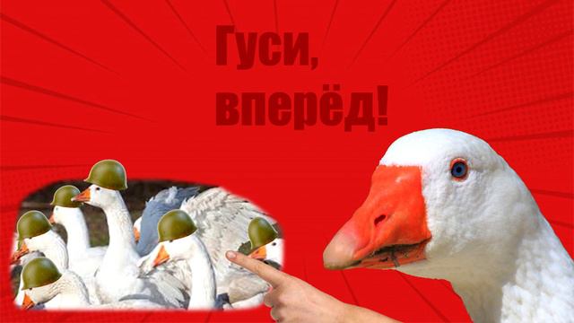 Я покидаю этот тонущий корабль. Кто со мной? | Telegramm канал смотреть онлайн