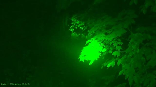 DIY Night Vision , test video , SONY IMX307 смотреть онлайн