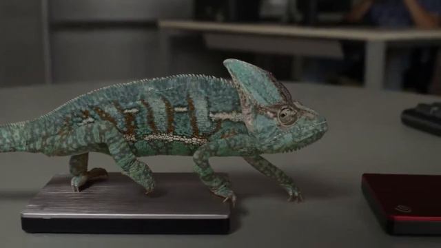 Забавный хамелеон меняет цвет смотреть онлайн