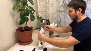 Обзор чая «Виндзор». Черные цейлонские чаи стандарта FBOP, Super Pekoe, Pekoe.
