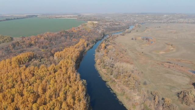 Осенняя осиновая роща на берегу реки Псел смотреть онлайн