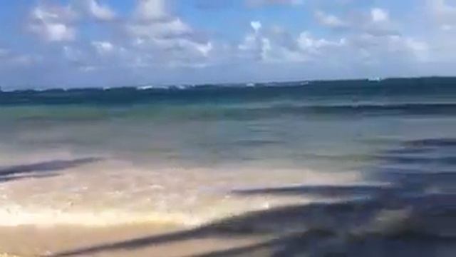 Las Galeras, Dominican Republic, 2014 смотреть онлайн
