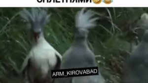 Марина! Марина! Что случилось???