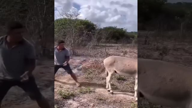 сам напросился )))