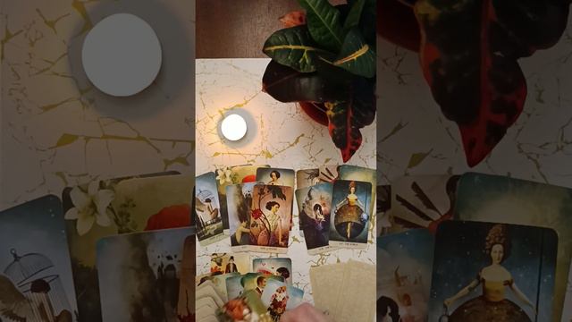 Правильно ли выбран путь?