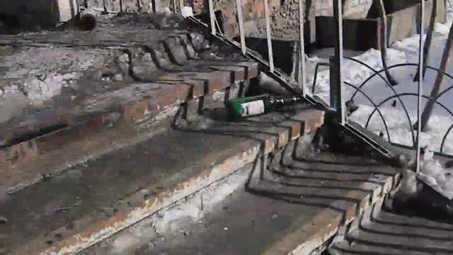 Джек Рассел терьер. Прогулка с Керри под Cotton eye joe. смотреть онлайн