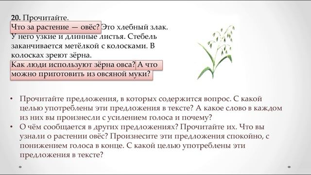 Упражнение 20 и 21 на странице 17. Русский язык 3 класс. смотреть онлайн