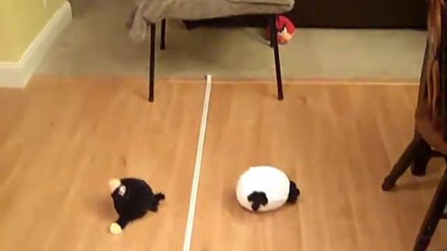 Measurement: Angry Birds (feet/inches) смотреть онлайн