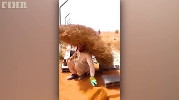 TOTAL IDIOTS AT WORK #24 | Funny fails compilation | Best of week